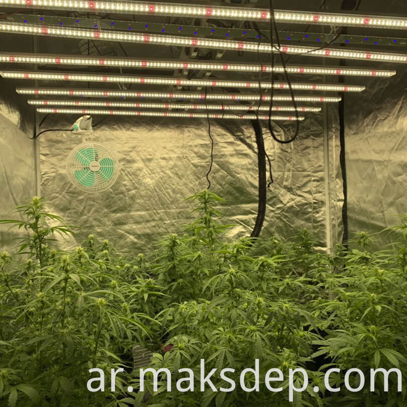 Factory Direct 1000w Led Grow Light